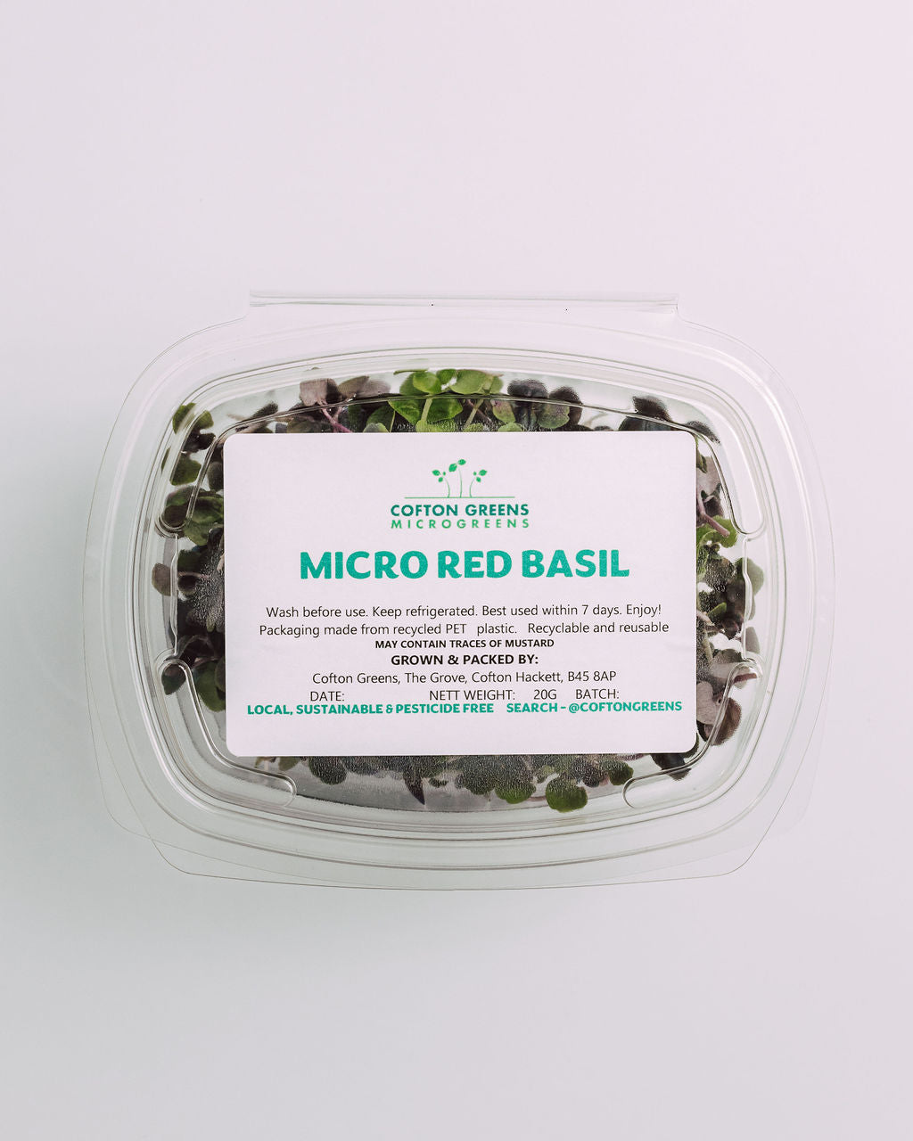 MICRO RED BASIL