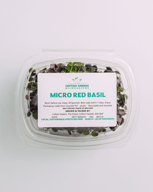 MICRO RED BASIL