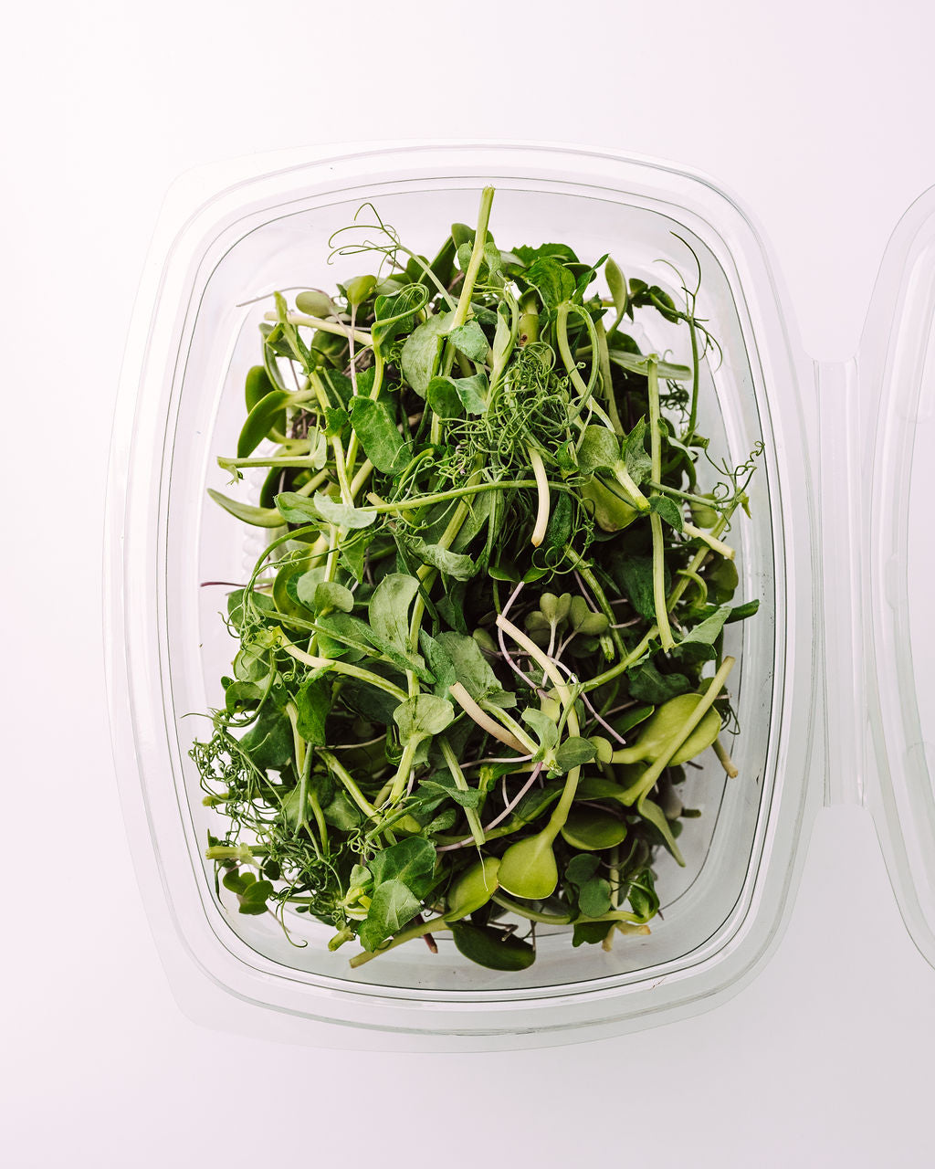 MICRO SALAD SWEET MIX
