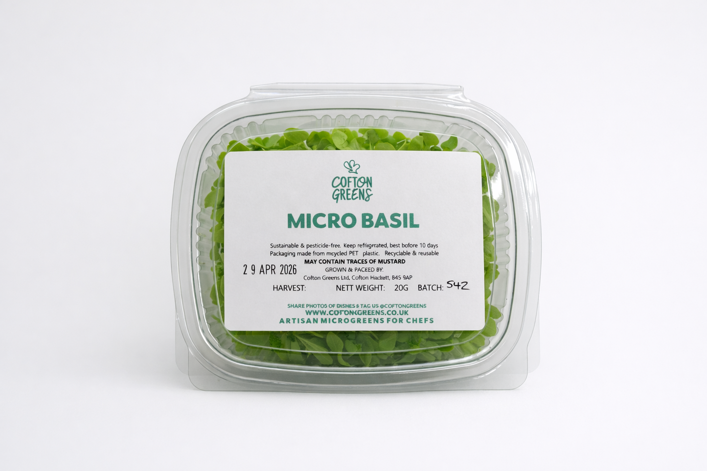 MICRO BASIL