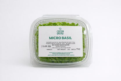 MICRO BASIL