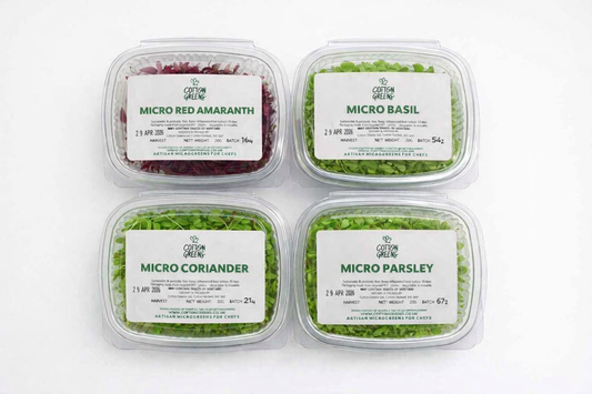 CHEF BOX (BUNDLE)