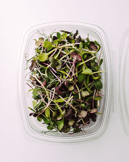 MICRO SALAD MIX