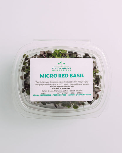 MICRO RED BASIL
