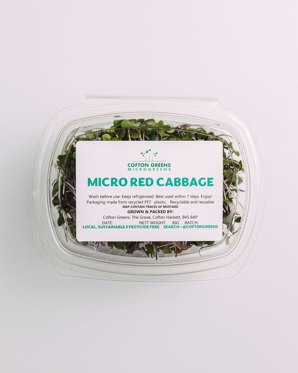 MICRO RED CABBAGE