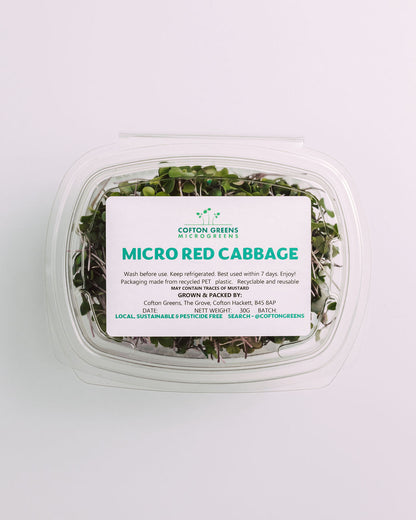 MICRO RED CABBAGE