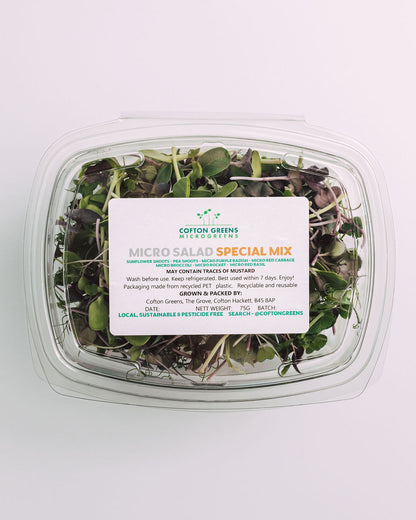 SALAD BUNDLE