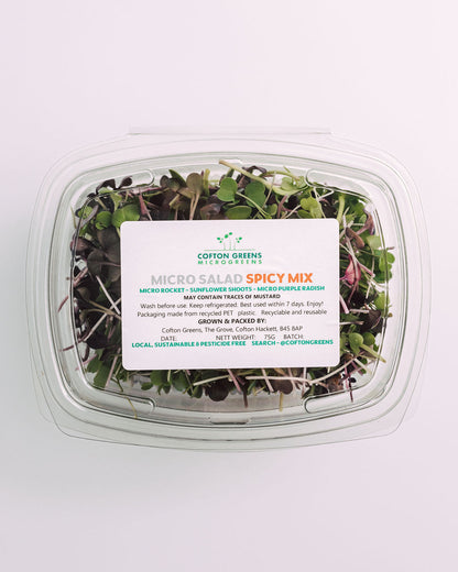 SALAD BUNDLE