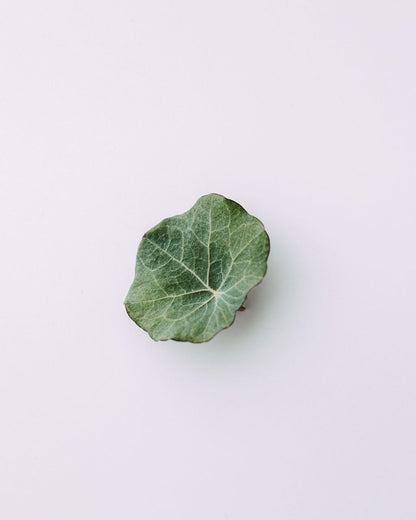 NASTURTIUM LEAVES